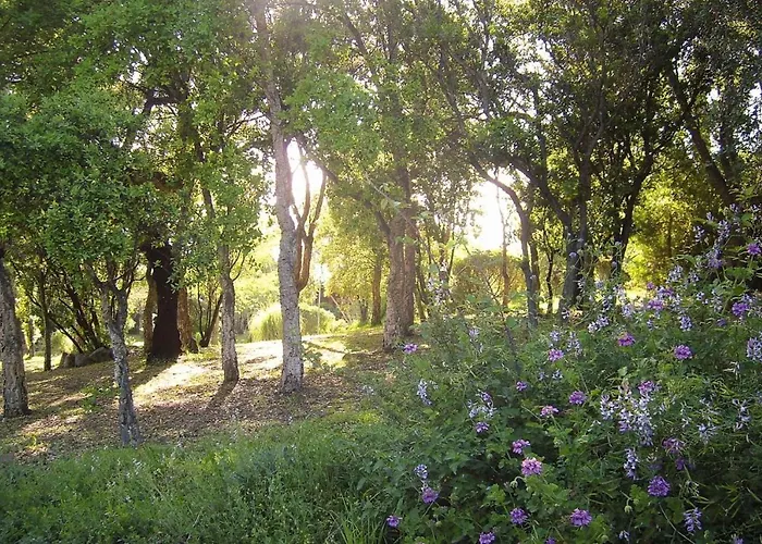 דירה In Pinarellu Near & Pool *