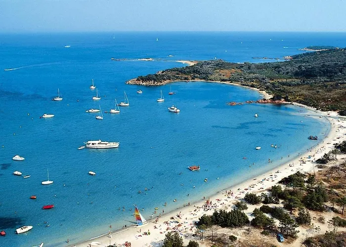 In Pinarellu Near & Pool Daire Zonza