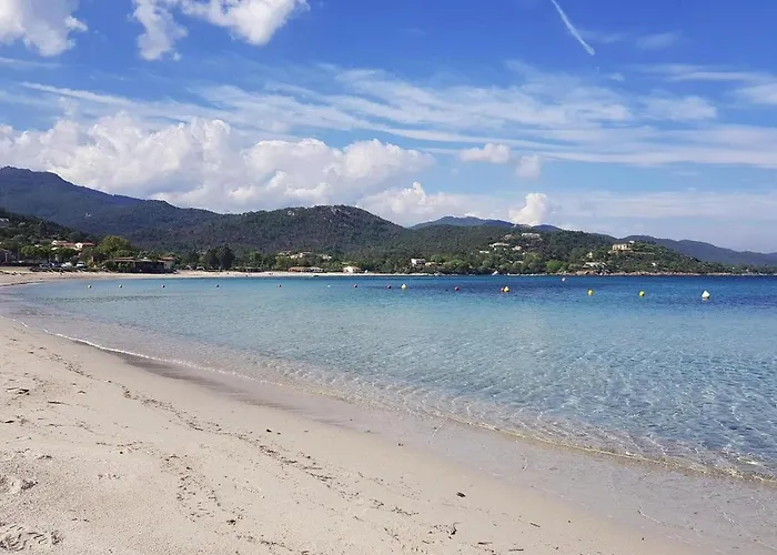 In Pinarellu Near & Pool Apartment *